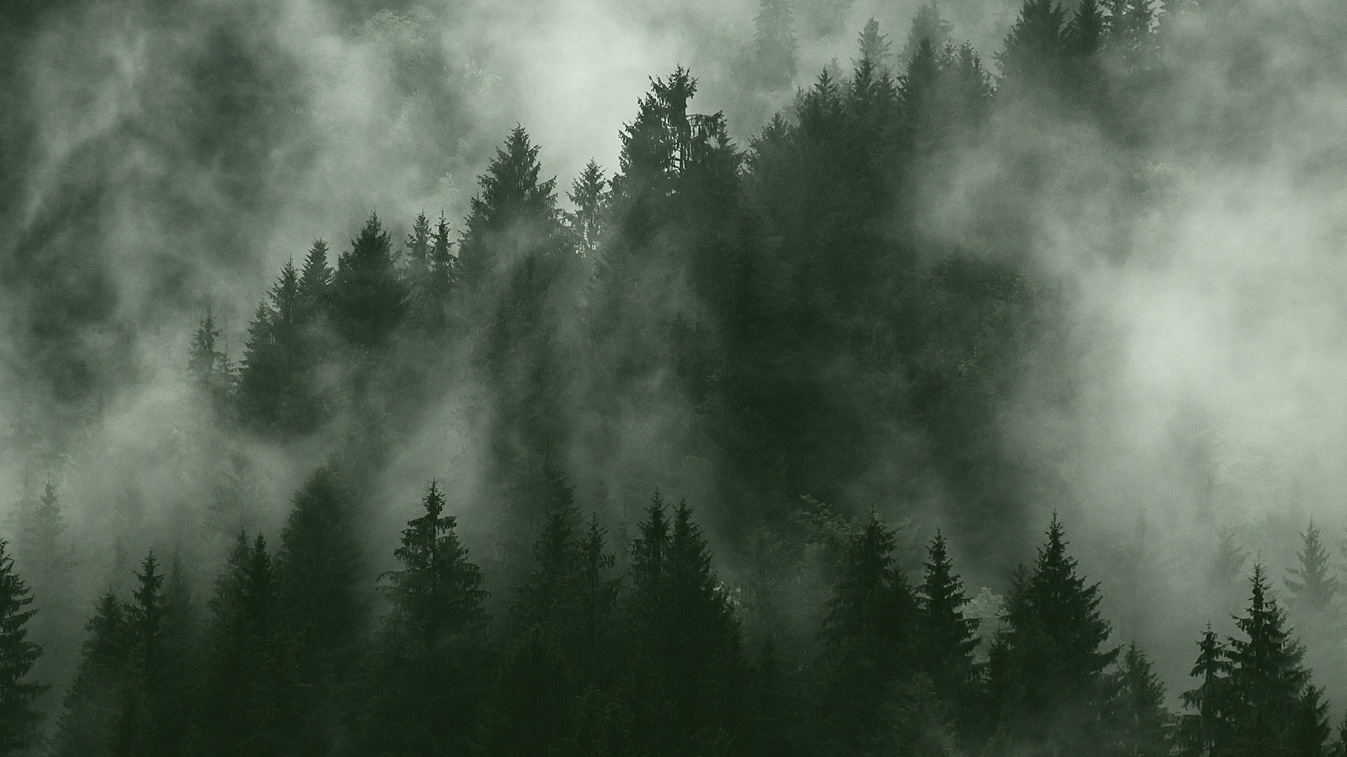 headerbild